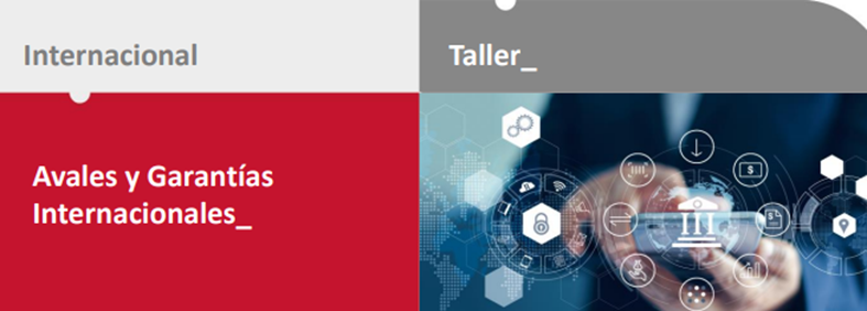  Taller Estrategias de Financiación: AVALES Y GARANTÍAS INTERNACIONALES 